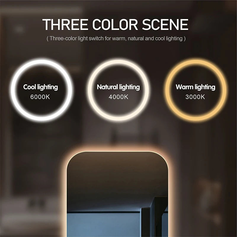 Rectangular Smart Bathroom Mirror With light Anti-Fog Brightness Dimmer Three Color LED Bath Vanity Full Body Makeup Mirror